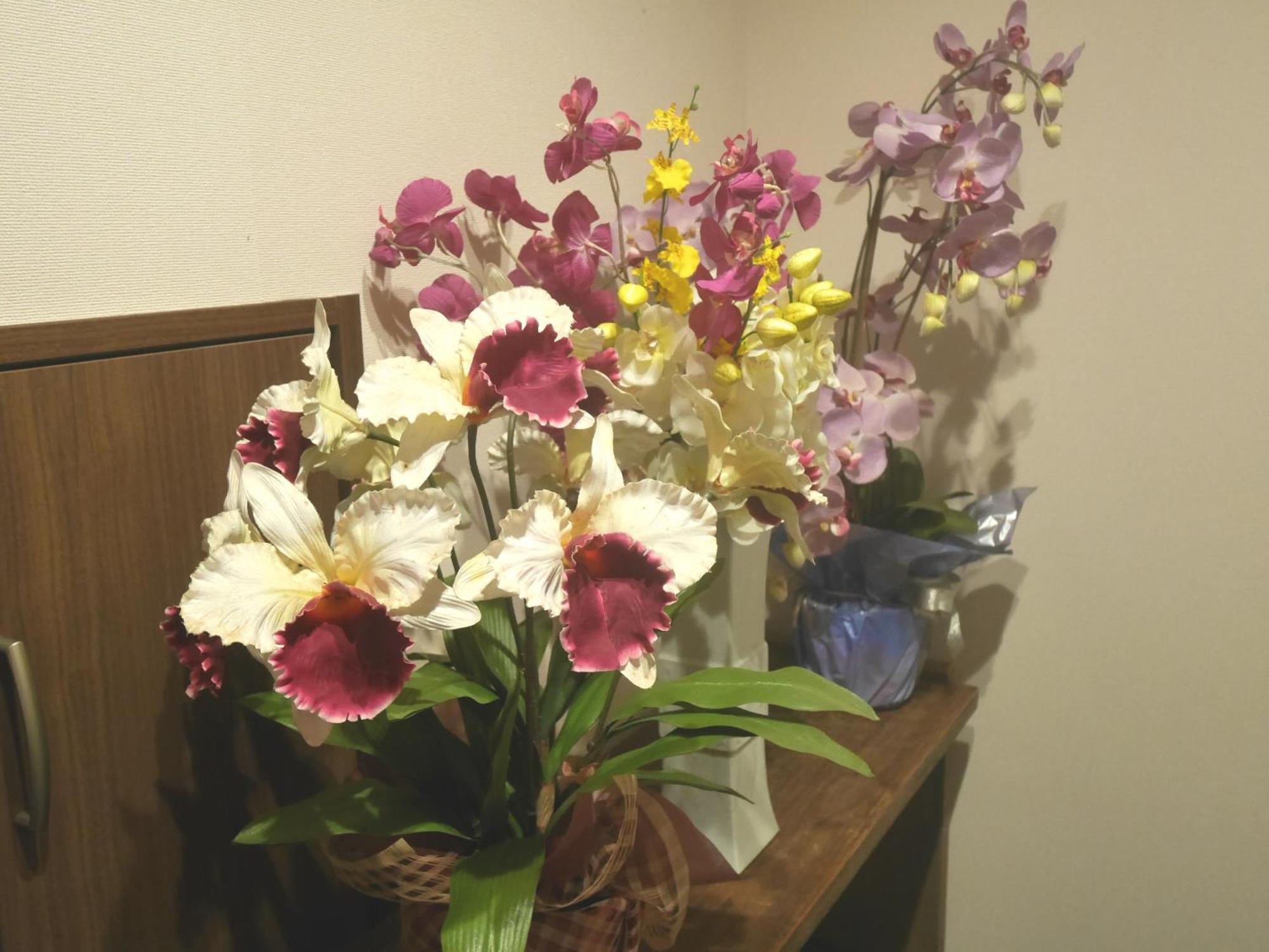 Guesthouse Grande今宮駅前 Ōsaka Exterior foto